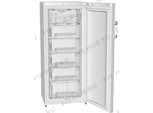 Холодильник Gorenje F60248HW (301279, ZOS2467) - Фото